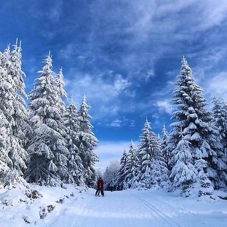 Hunderfossen Apartments ハーフィエル エクステリア 写真