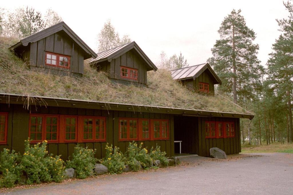 Hunderfossen Apartments ハーフィエル エクステリア 写真